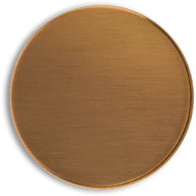 ZS – brushed amber bronze